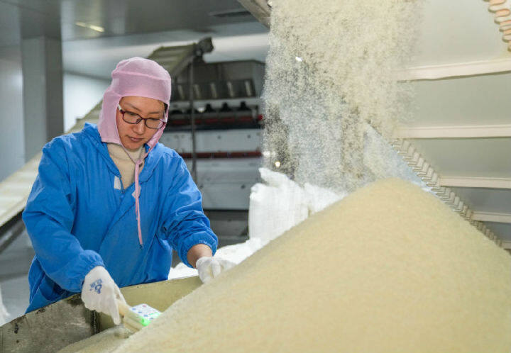 3月17日,在山东省乐陵市化楼镇欧润食品有限公司生产车间,工人在检测面包糠干燥程度。(贾鹏 摄)