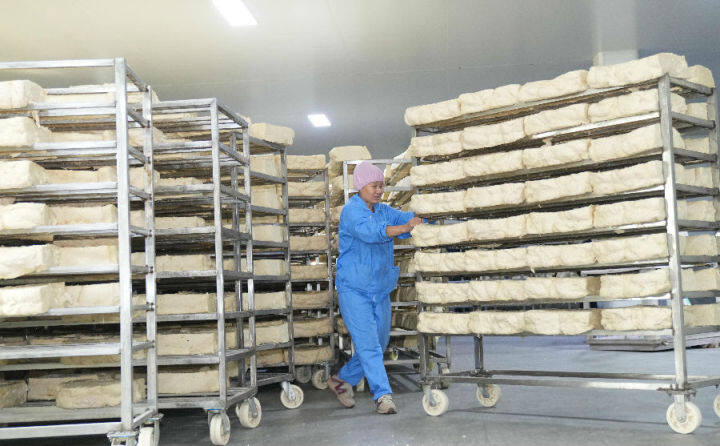 3月17日,在山东省乐陵市化楼镇欧润食品有限公司生产车间,工人在有序地进行面包糠加工制作环节。(贾鹏 摄)